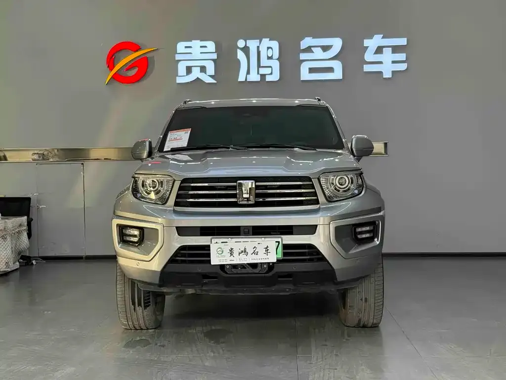 Tank 700 New Energy 2024 из CN, фото 2