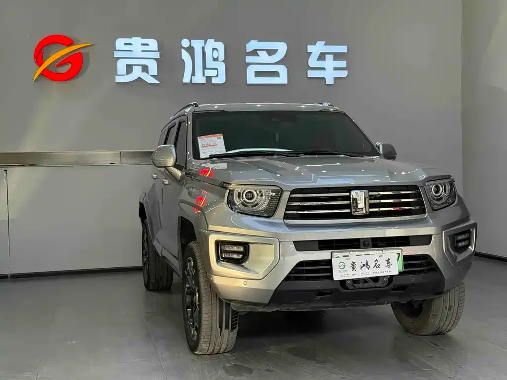 Tank 700 New Energy 2024 из CN, фото 3