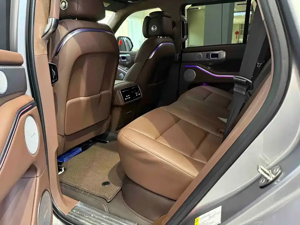 Tank 700 New Energy 2024 из CN, фото 4