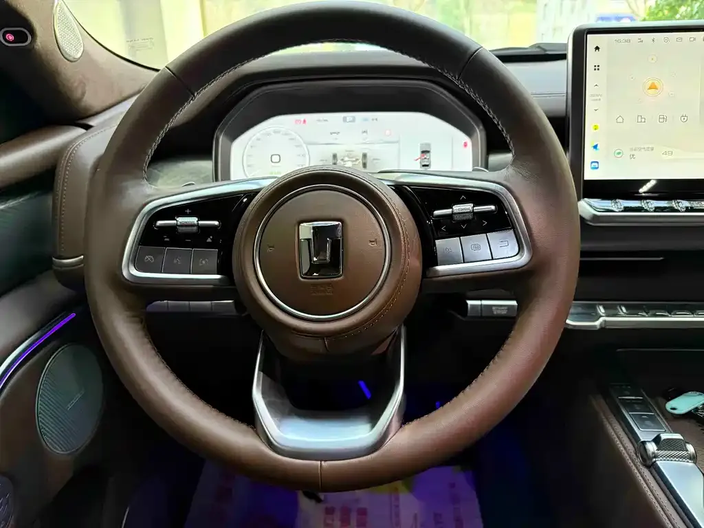 Tank 700 New Energy 2024 из CN, фото 9