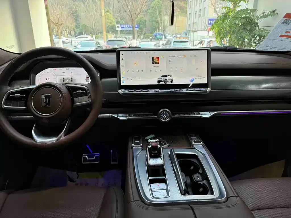 Tank 700 New Energy 2024 из CN, фото 8