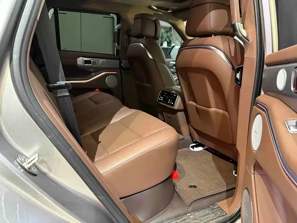 Tank 700 New Energy 2024 из CN, фото 7