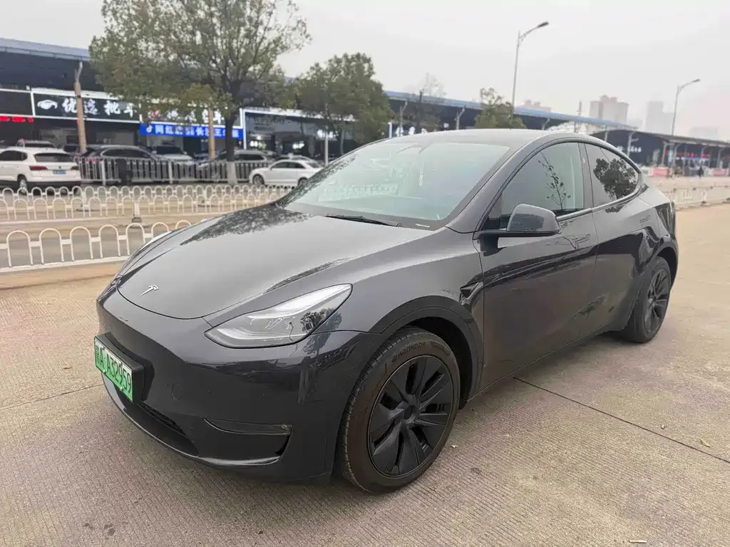 Tesla Model Y — фото 1