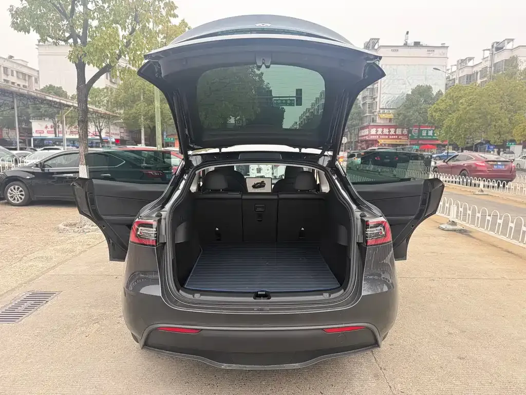 Tesla Model Y — фото 10
