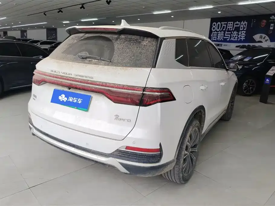 BYD Pro New Energy — фото 7