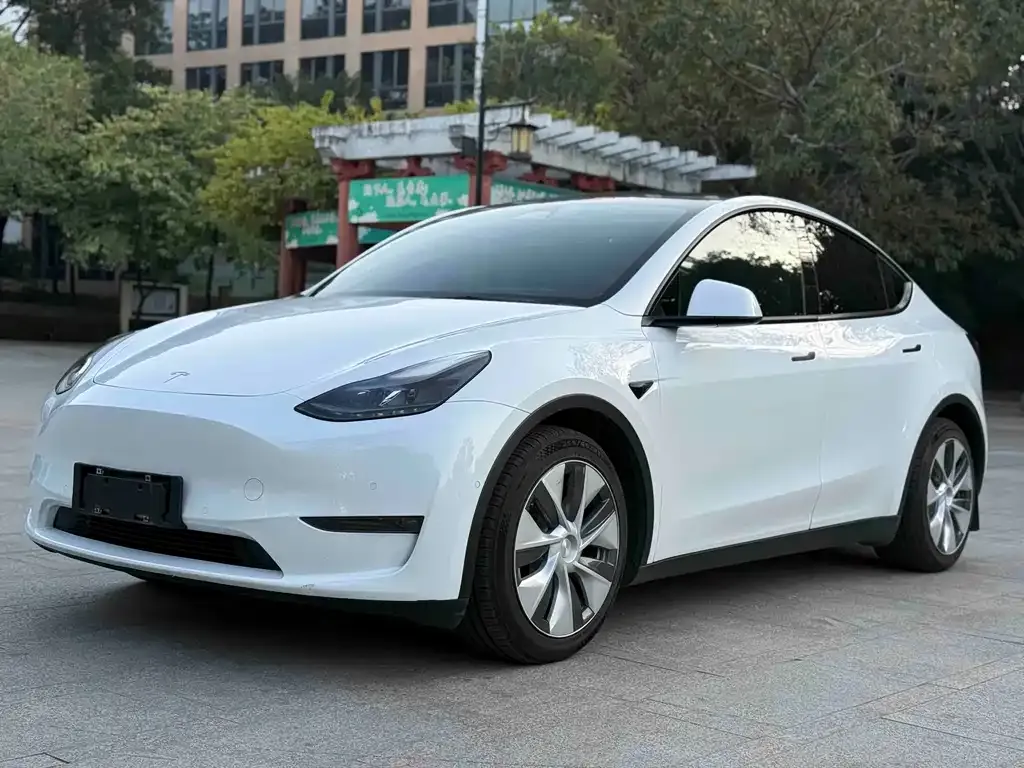 Tesla Model Y 2022 из CN, фото 1