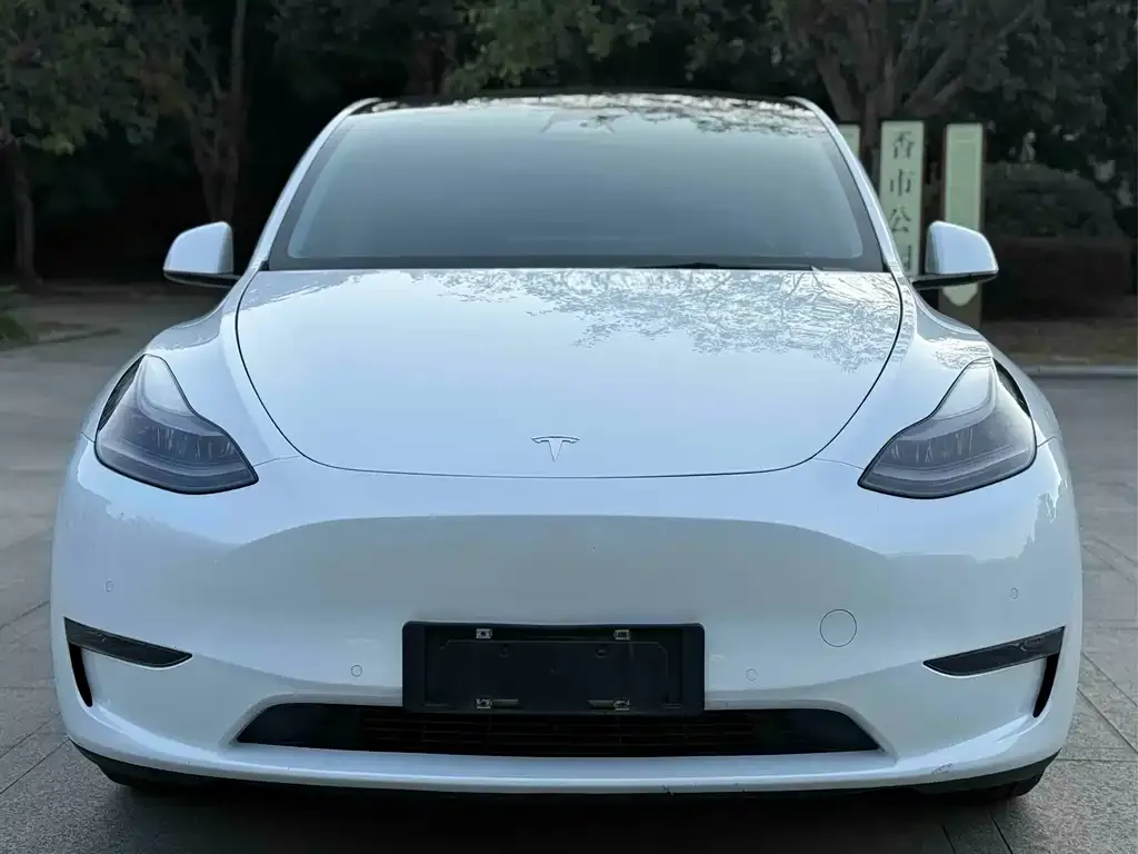 Tesla Model Y 2022 из CN, фото 7