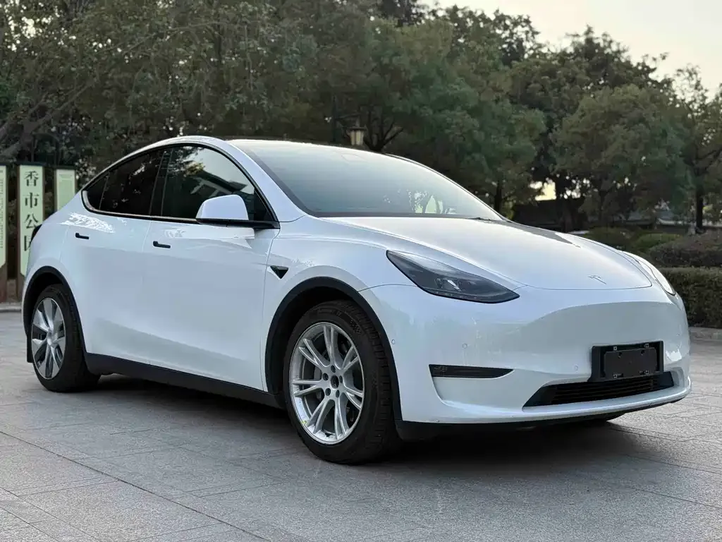 Tesla Model Y 2022 из CN, фото 4
