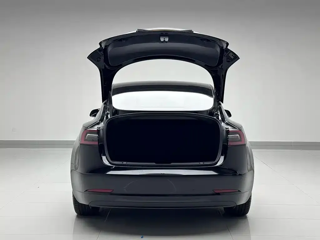 Tesla Model 3 — фото 2