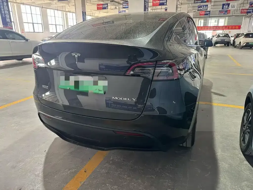 Tesla Model Y — фото 2