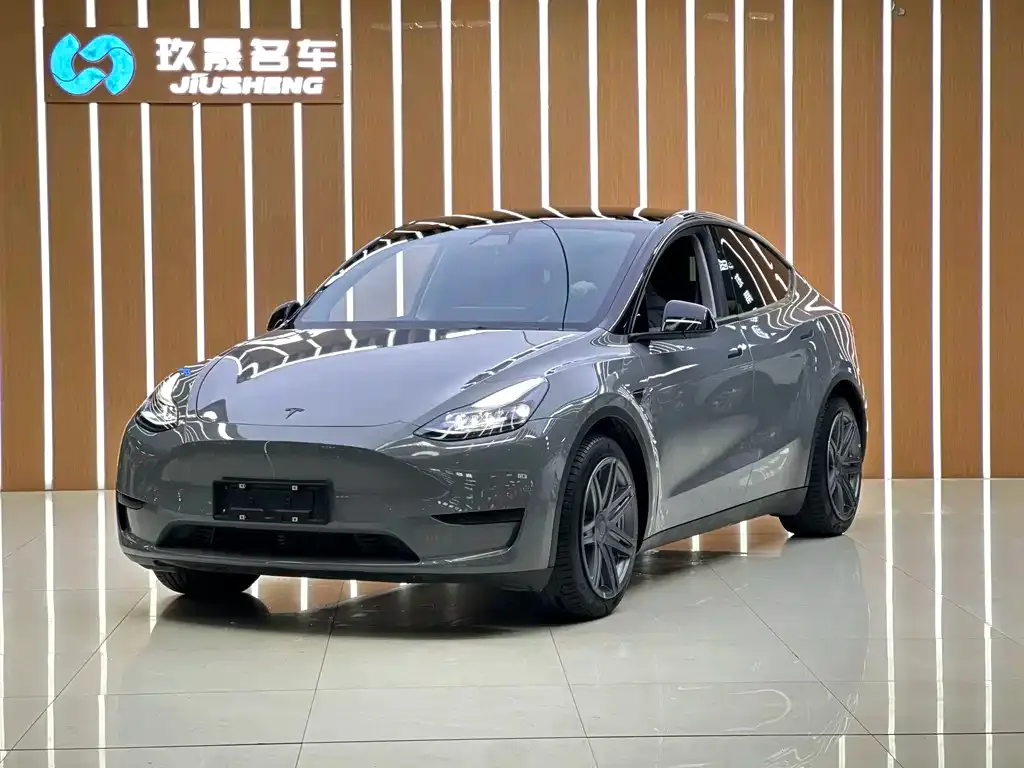 Tesla Model Y — фото 1