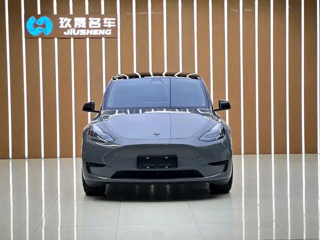 Tesla Model Y — фото 3
