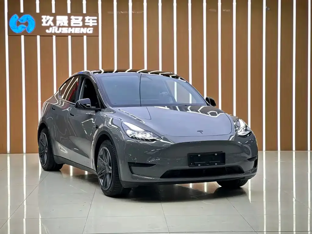 Tesla Model Y — фото 5