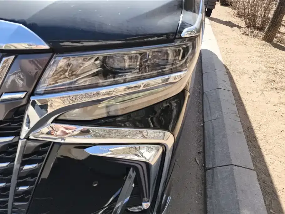 Toyota Alphard — фото 9