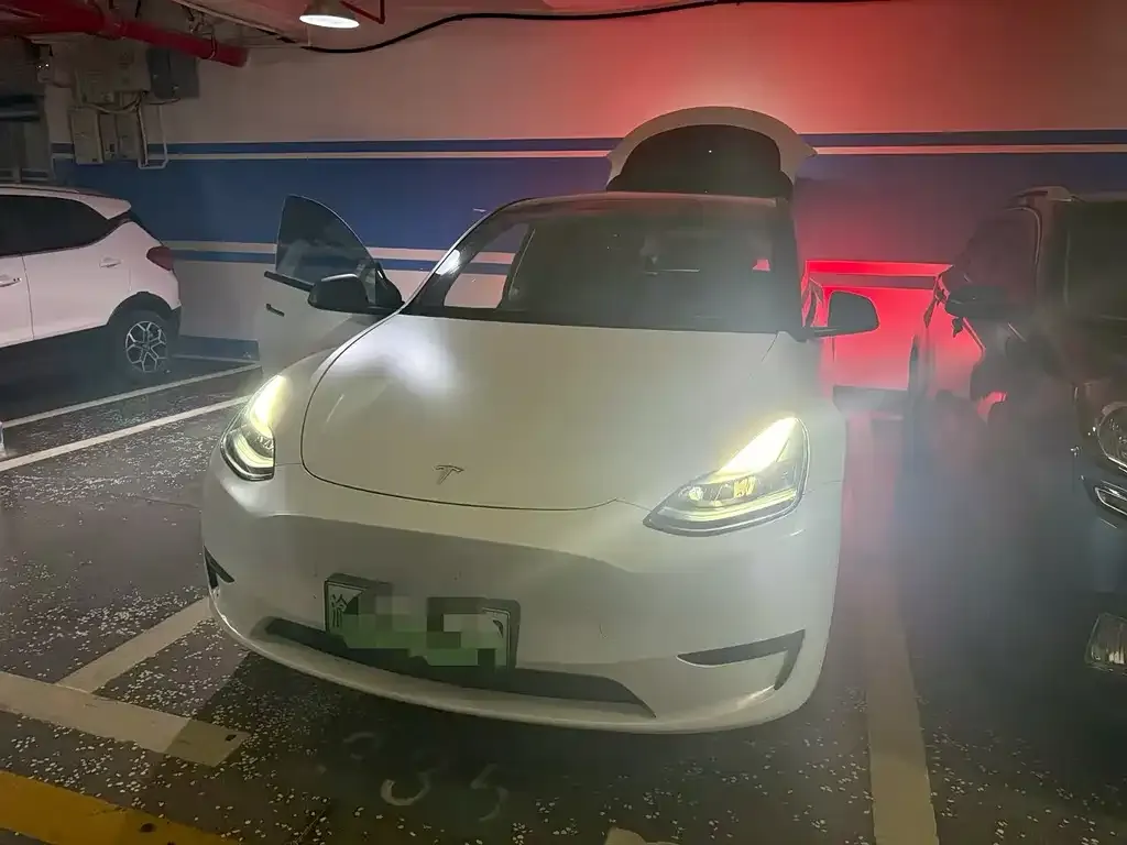 Tesla Model Y — фото 1