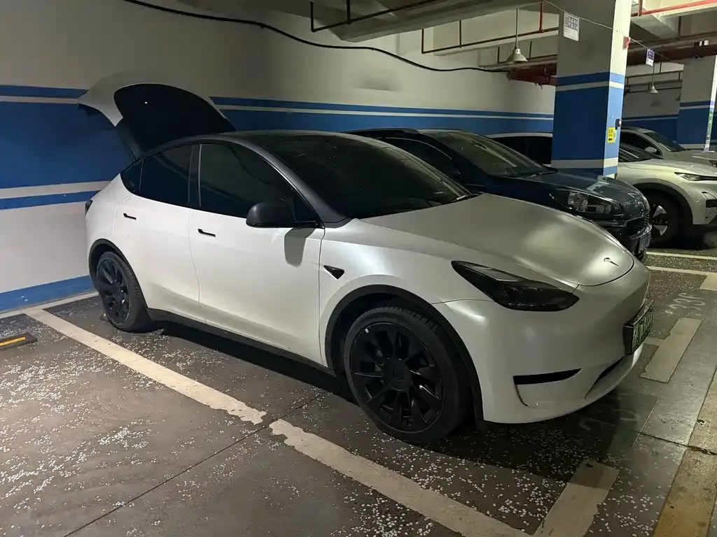 Tesla Model Y — фото 2
