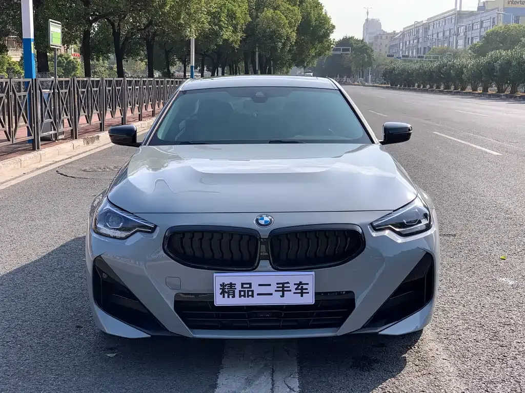 BMW 2 Series (Import) — фото 8