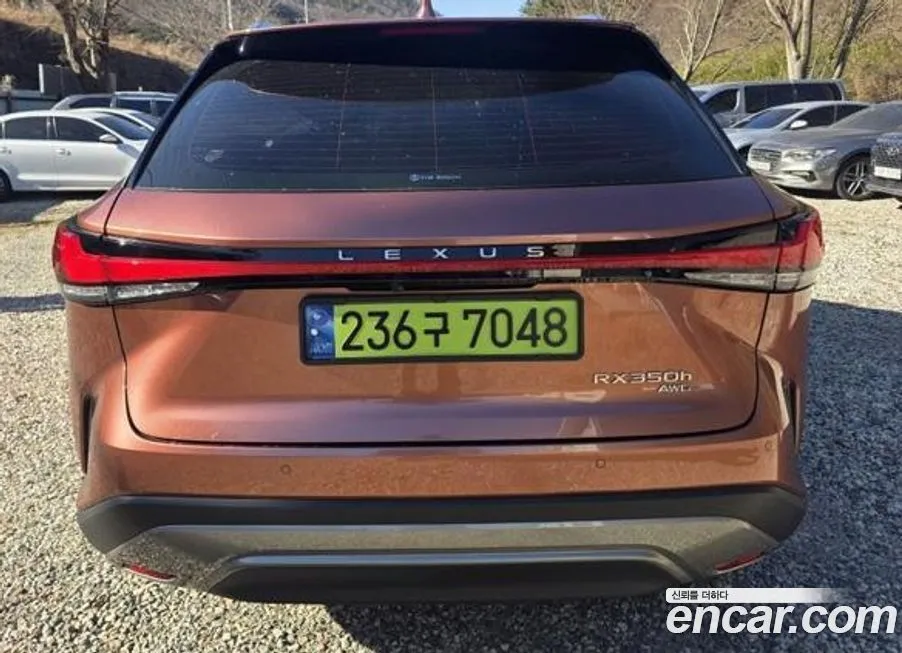 Lexus RX 2024 из KR, фото 2