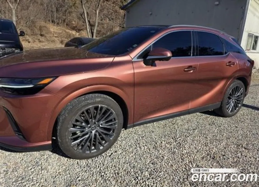 Lexus RX 2024 из KR, фото 4