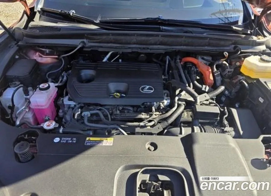 Lexus RX 2024 из KR, фото 7