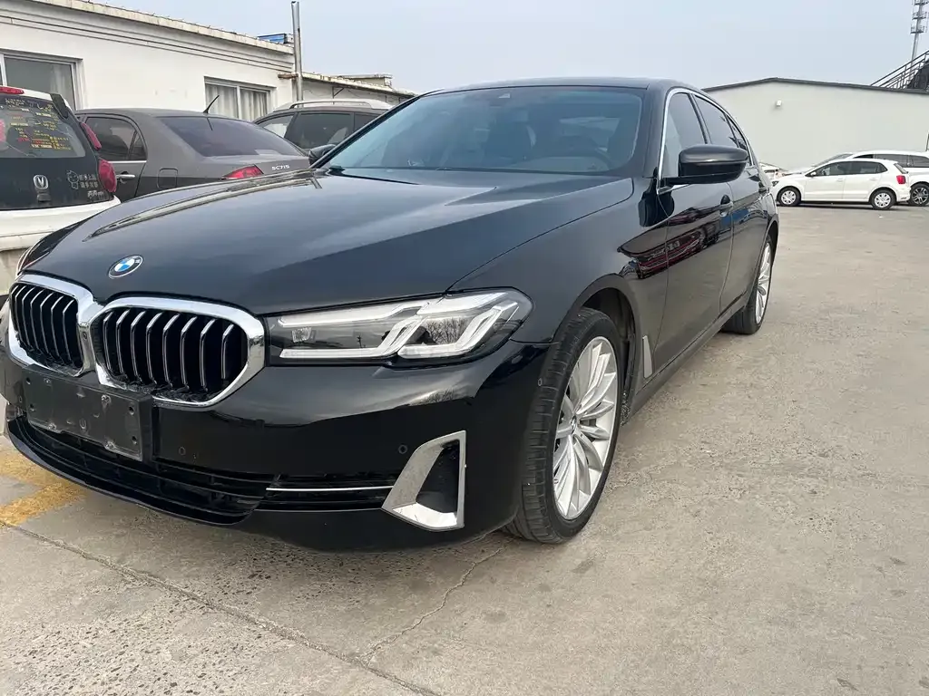 BMW 5 Series 2023 из CN, фото 1