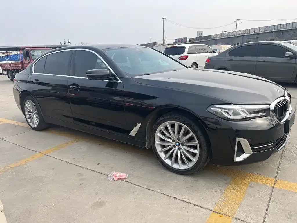 BMW 5 Series 2023 из CN, фото 9