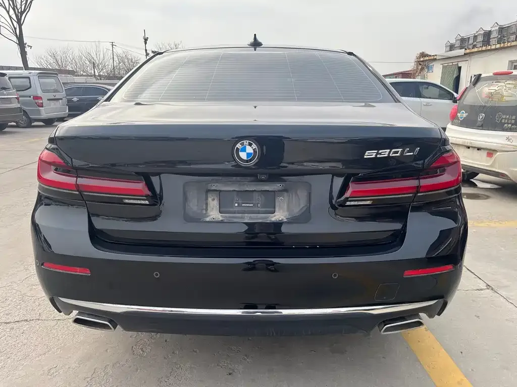 BMW 5 Series 2023 из CN, фото 5