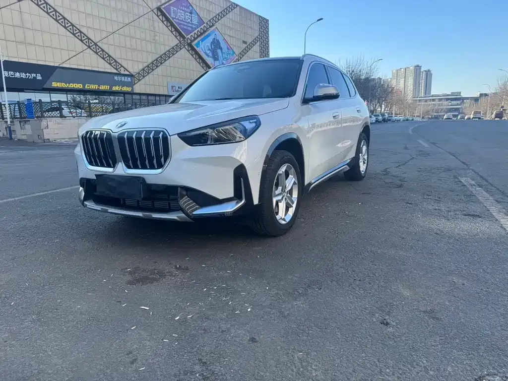 BMW X1 — фото 1