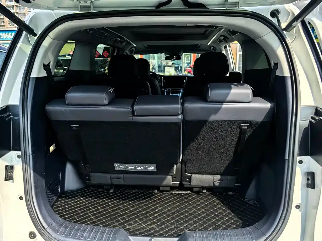 GAC Motor Trumpchi M8 2021 из CN, фото 7