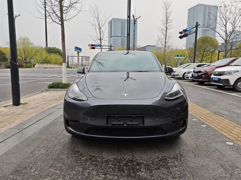 Tesla Model Y — фото 1