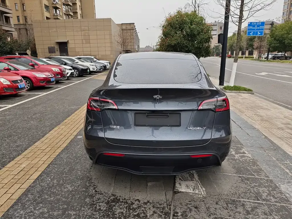 Tesla Model Y — фото 9
