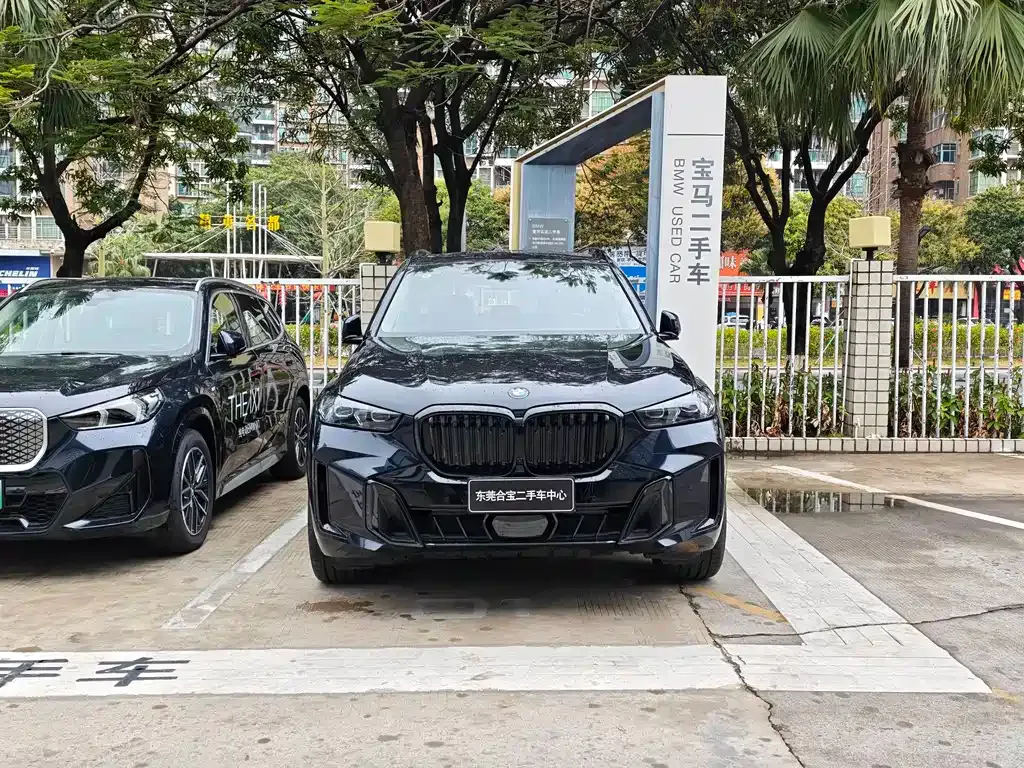 BMW X5 2025 из CN, фото 1