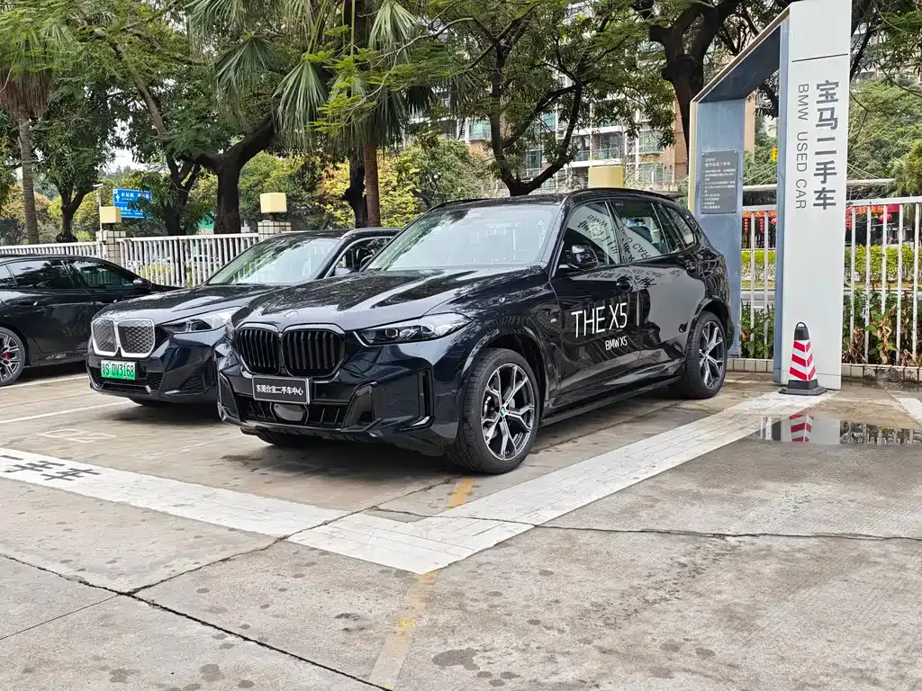 BMW X5 2025 из CN, фото 10