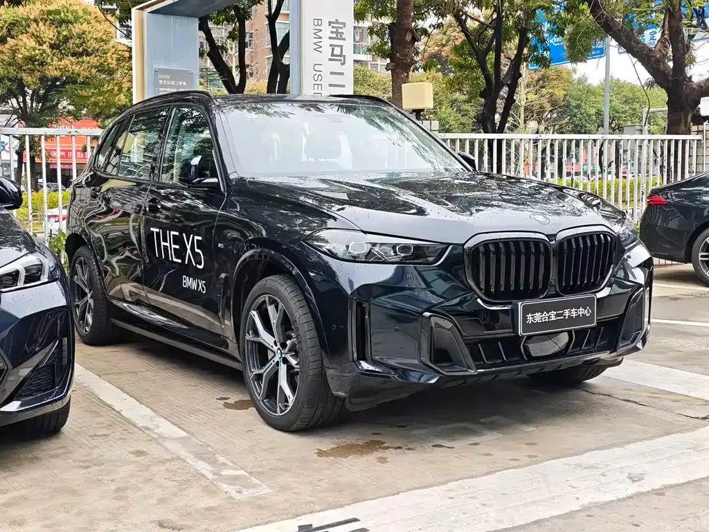 BMW X5 2025 из CN, фото 9