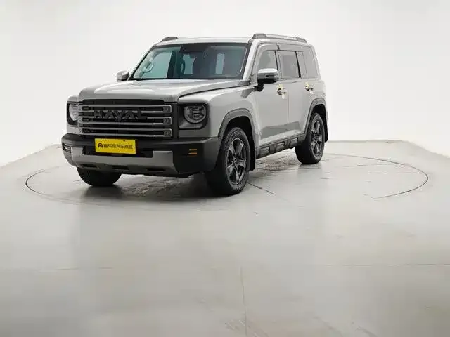 Haval Menglong New Energy 2023 из CN, фото 1