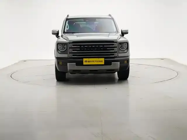Haval Menglong New Energy 2023 из CN, фото 7
