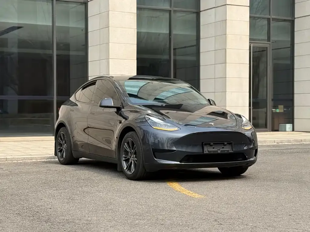Tesla Model Y — фото 8