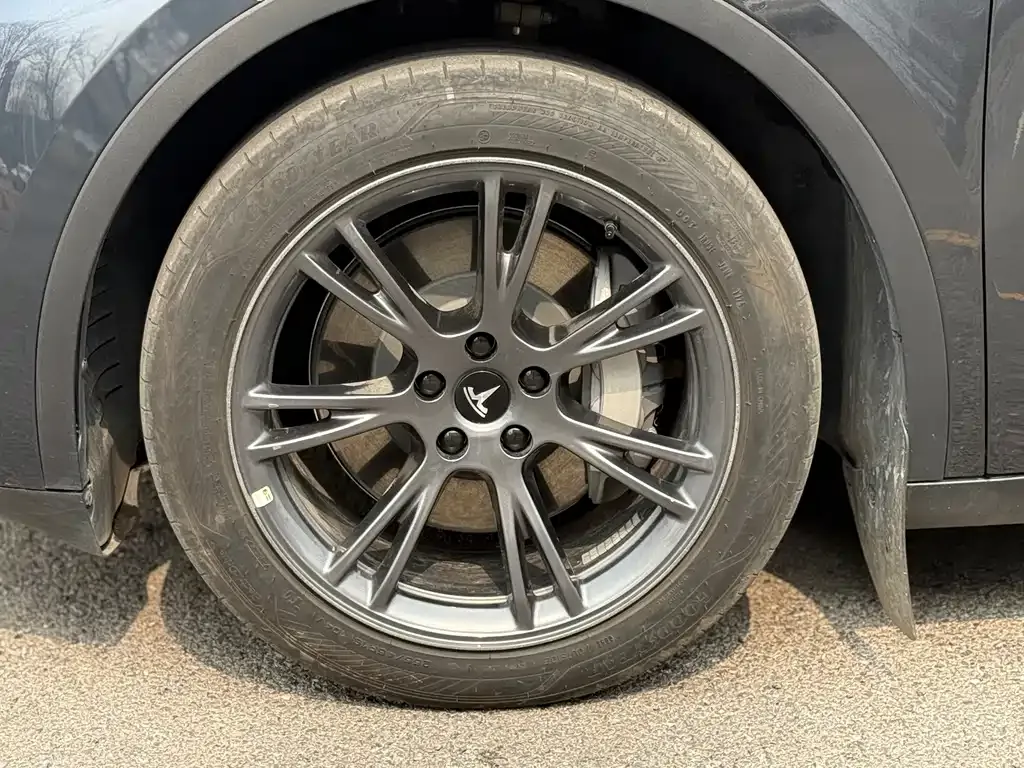 Tesla Model Y — фото 9