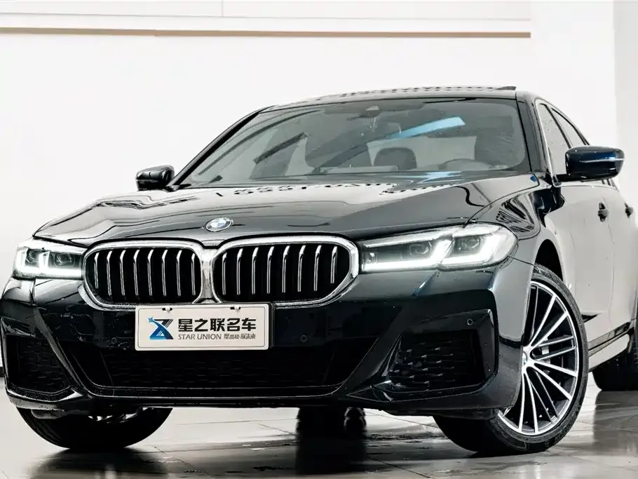 BMW 5 Series 2023 из CN, фото 6