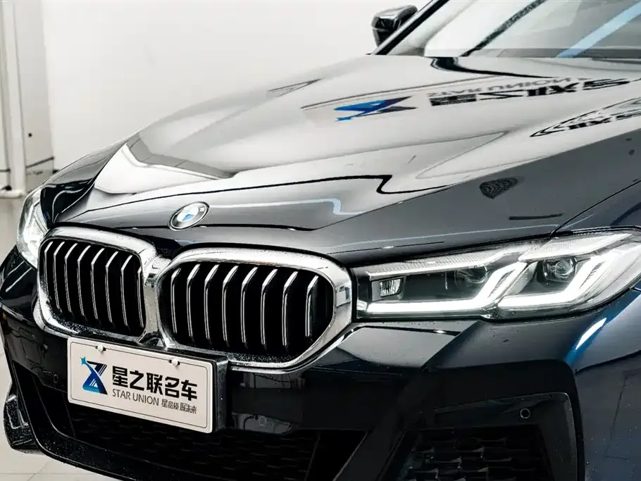 BMW 5 Series 2023 из CN, фото 7