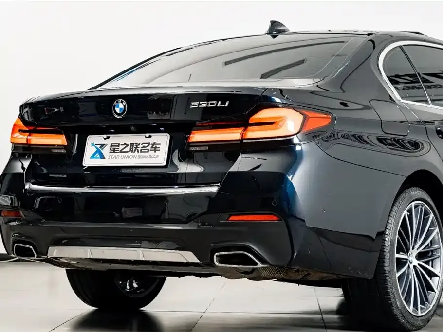 BMW 5 Series 2023 из CN, фото 10