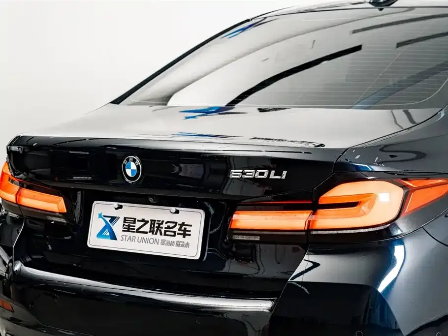 BMW 5 Series 2023 из CN, фото 8