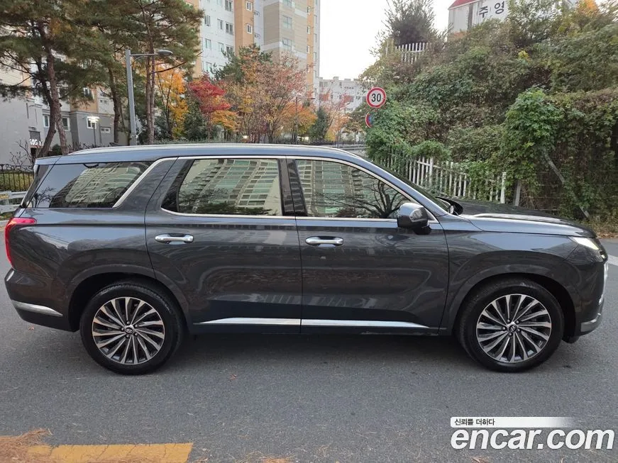 Hyundai Palisade — фото 7