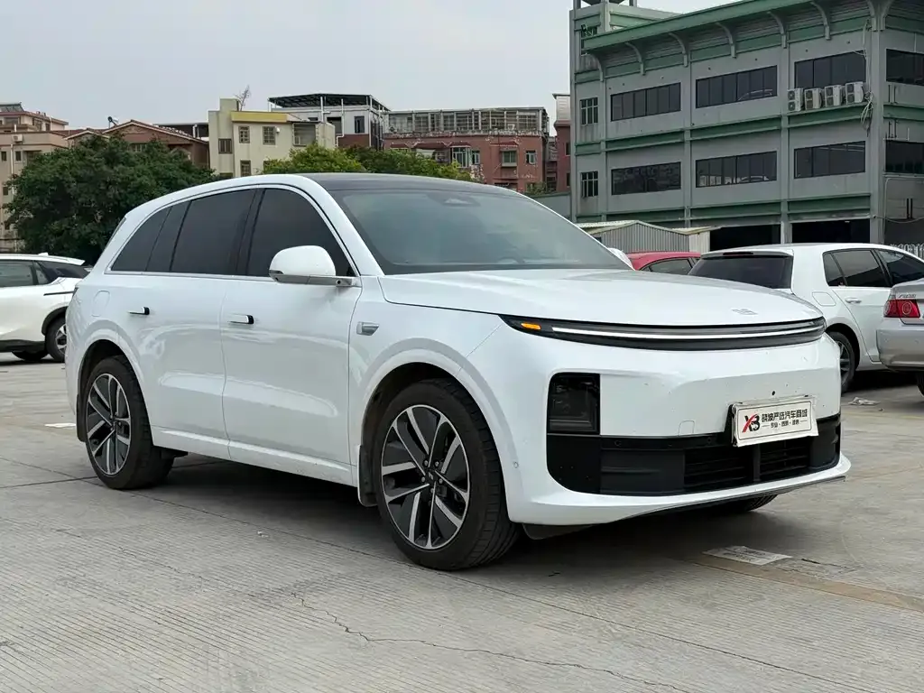 Li Auto Li L6 2024 из CN, фото 6