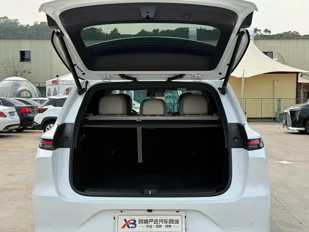 Li Auto Li L6 2024 из CN, фото 7