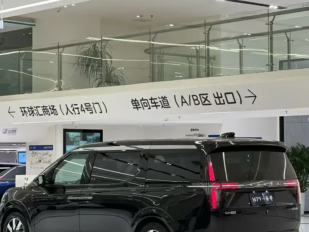 Volvo EM90 2025 из CN, фото 3