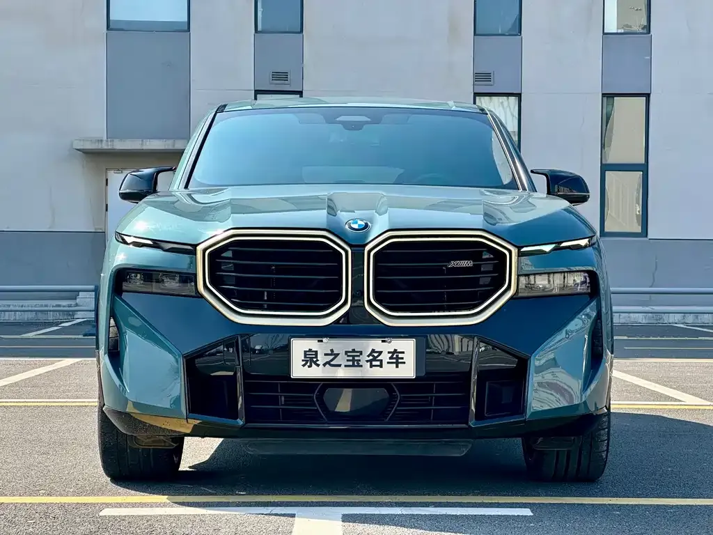 BMW XM — фото 10