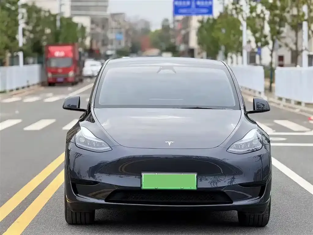 Tesla Model Y — фото 1