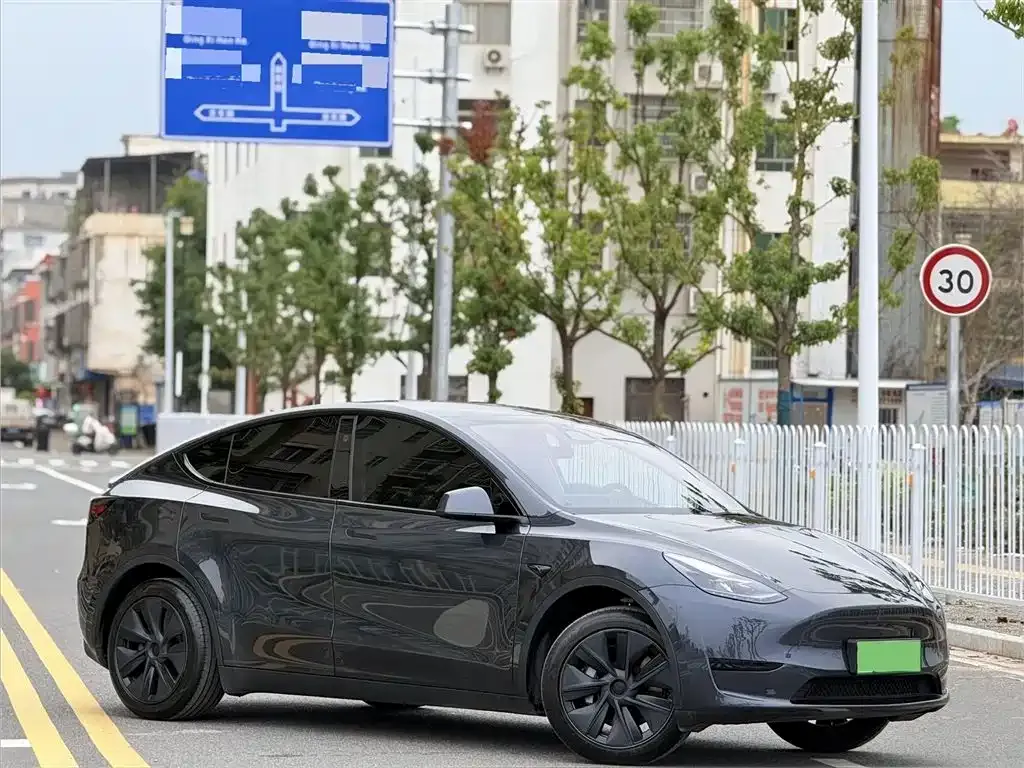 Tesla Model Y — фото 9