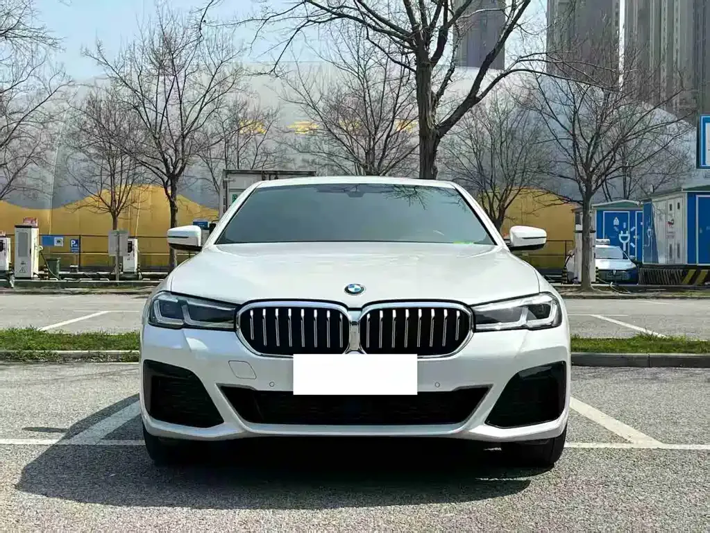 BMW 5 Series 2022 из CN, фото 7